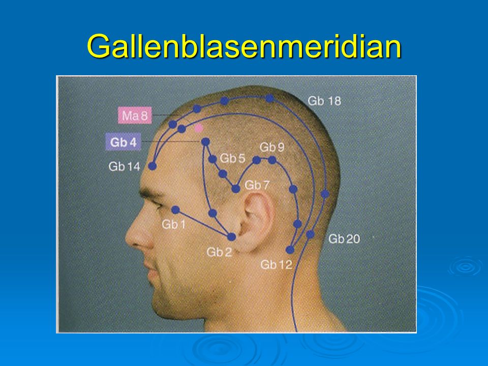 Gallenblasenmeridian