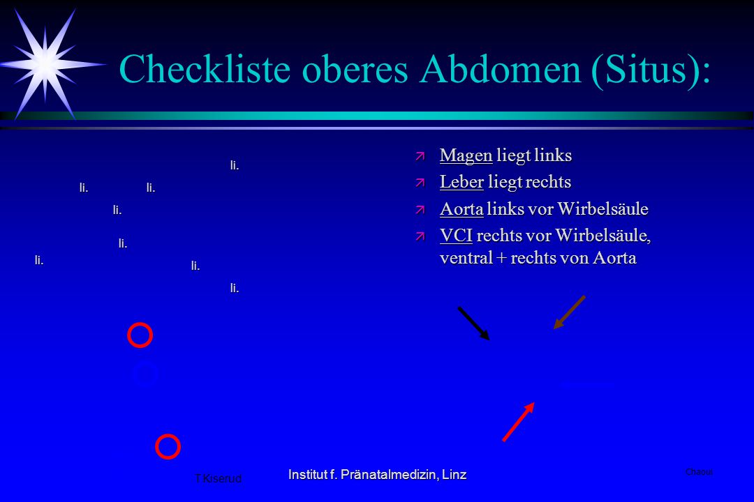 Checkliste oberes Abdomen (Situs):