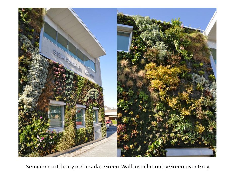 Semiahmoo Library in Canada - Green-Wall installation by Green over Grey