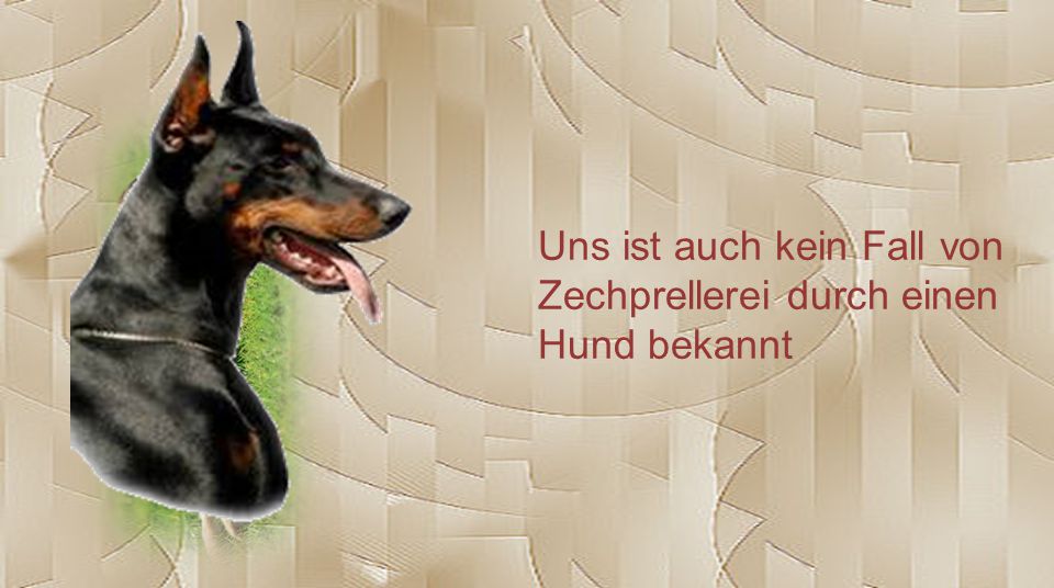 Uns ist auch kein Fall von Zechprellerei durch einen Hund bekannt