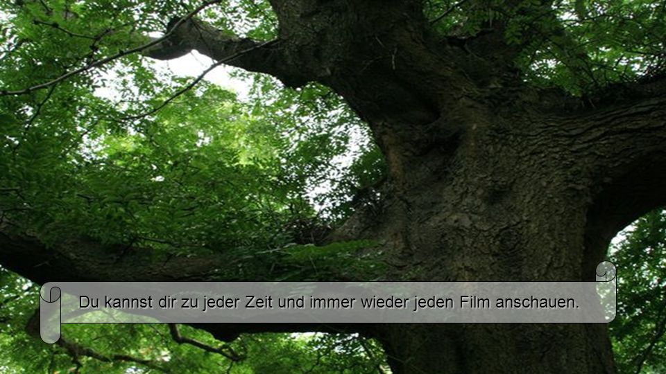 Du kannst dir zu jeder Zeit und immer wieder jeden Film anschauen.