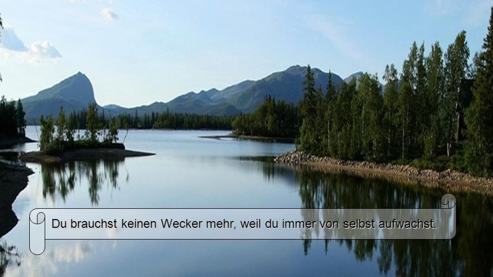 Du brauchst keinen Wecker mehr, weil du immer von selbst aufwachst.