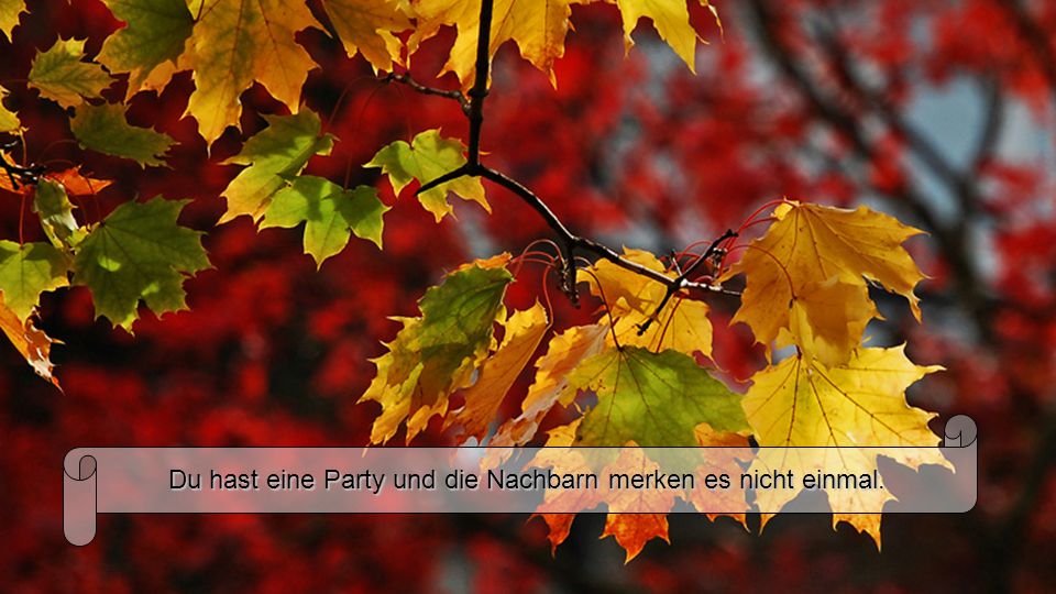 Du hast eine Party und die Nachbarn merken es nicht einmal.