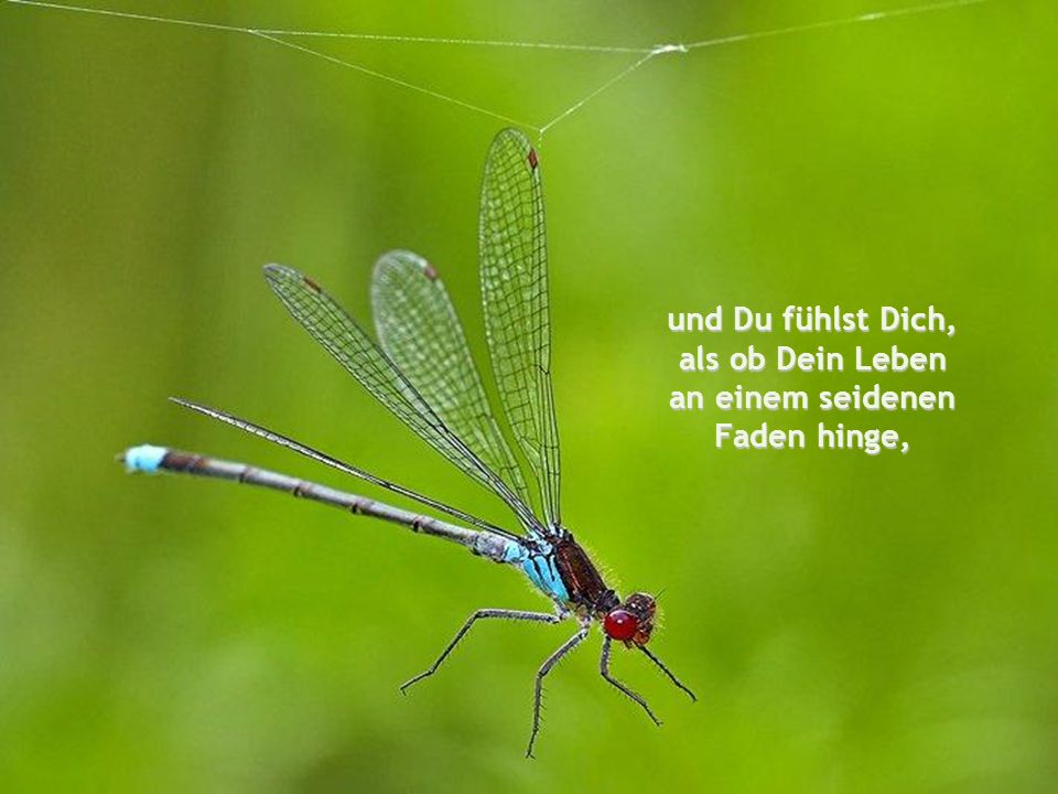 und Du fühlst Dich, als ob Dein Leben an einem seidenen Faden hinge,