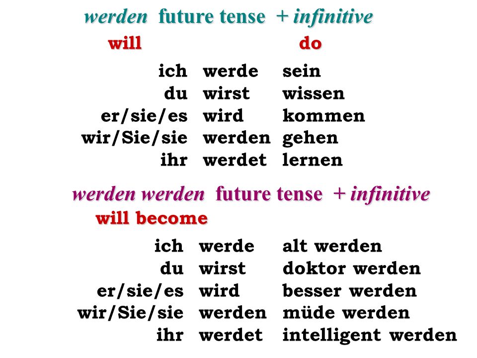 werden future tense + infinitive