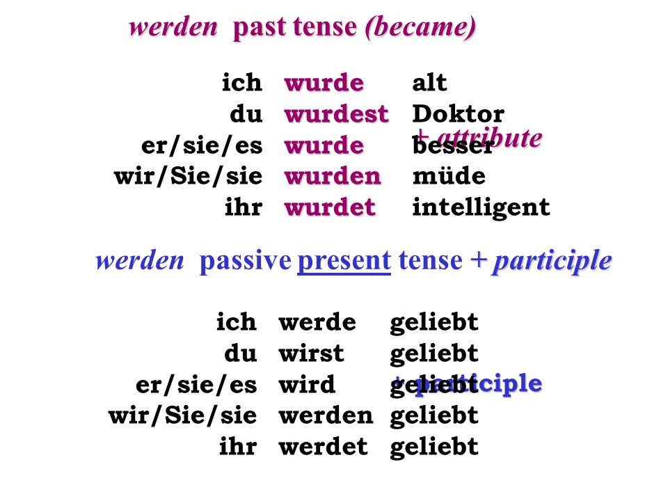 werden past tense (became)
