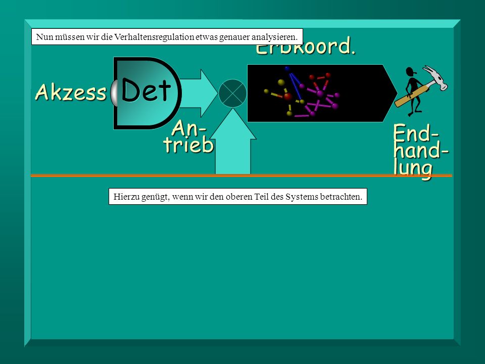 Orga- nismus Det Det Erbkoord. Akzess An- End- trieb hand- lung