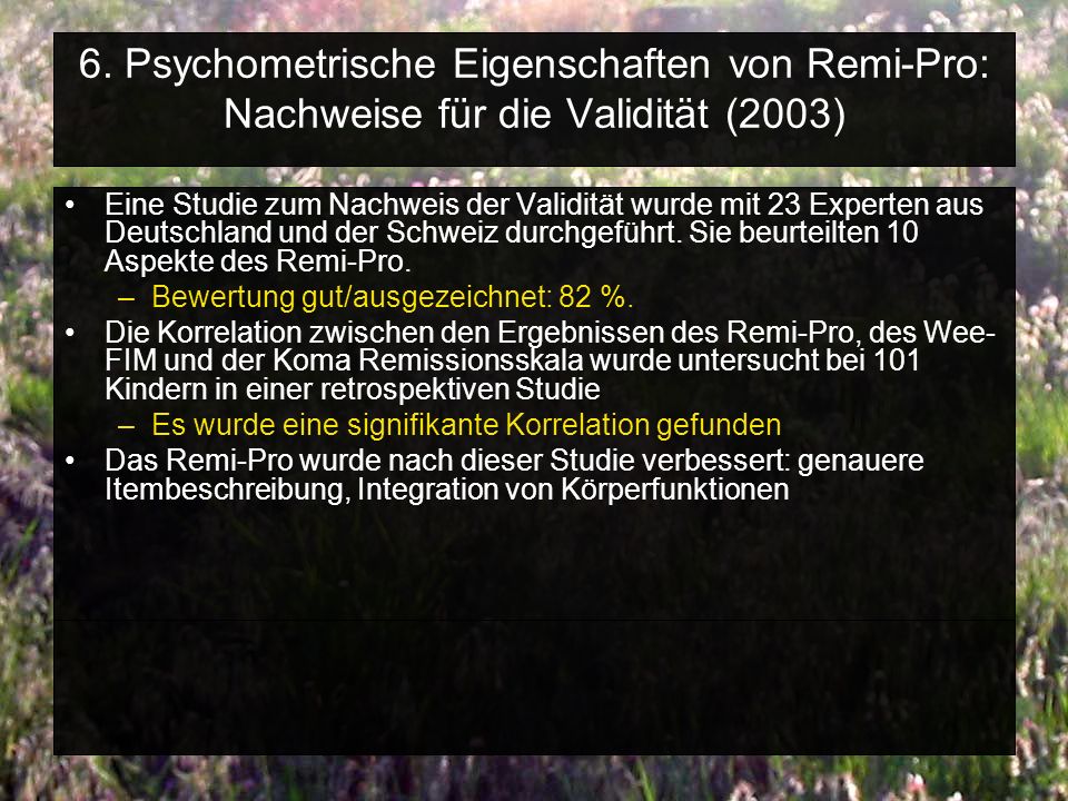 6. Psychometrische Eigenschaften von Remi-Pro: Nachweise für die Validität (2003)