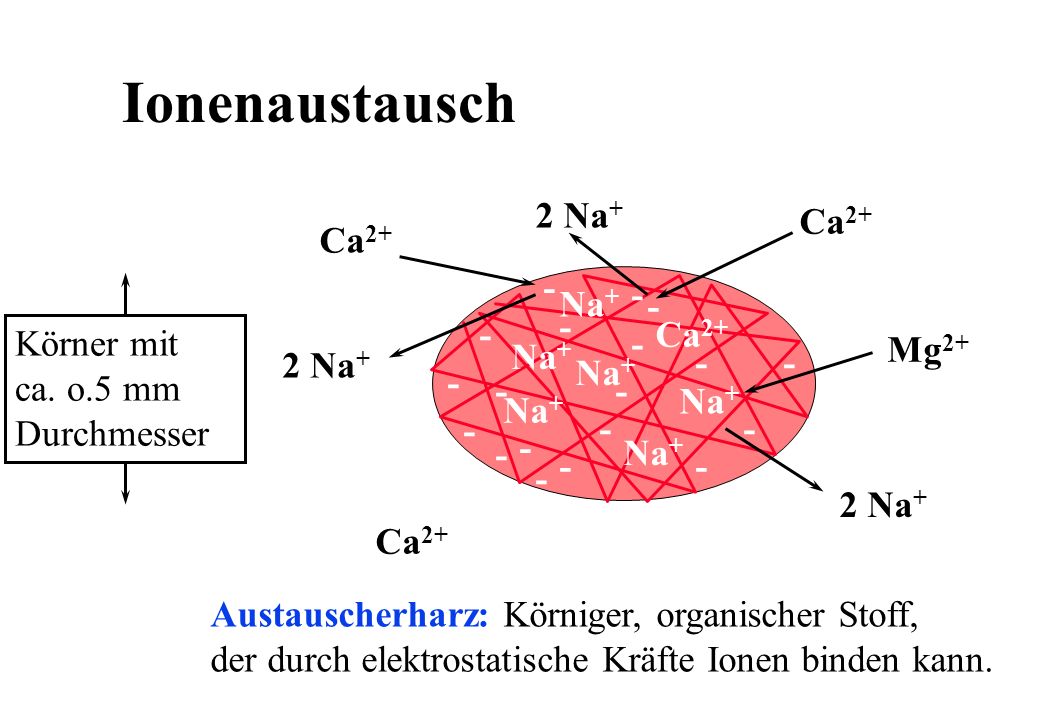 Ionenaustausch 2 Na+ Ca2+ Ca Körner mit ca. o.5 mm Durchmesser