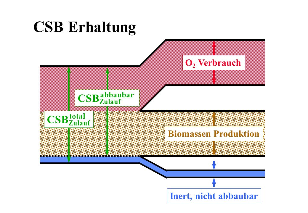 CSB Erhaltung CSBZulauf O2 Verbrauch Biomassen Produktion