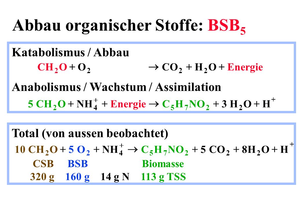 Abbau organischer Stoffe: BSB5