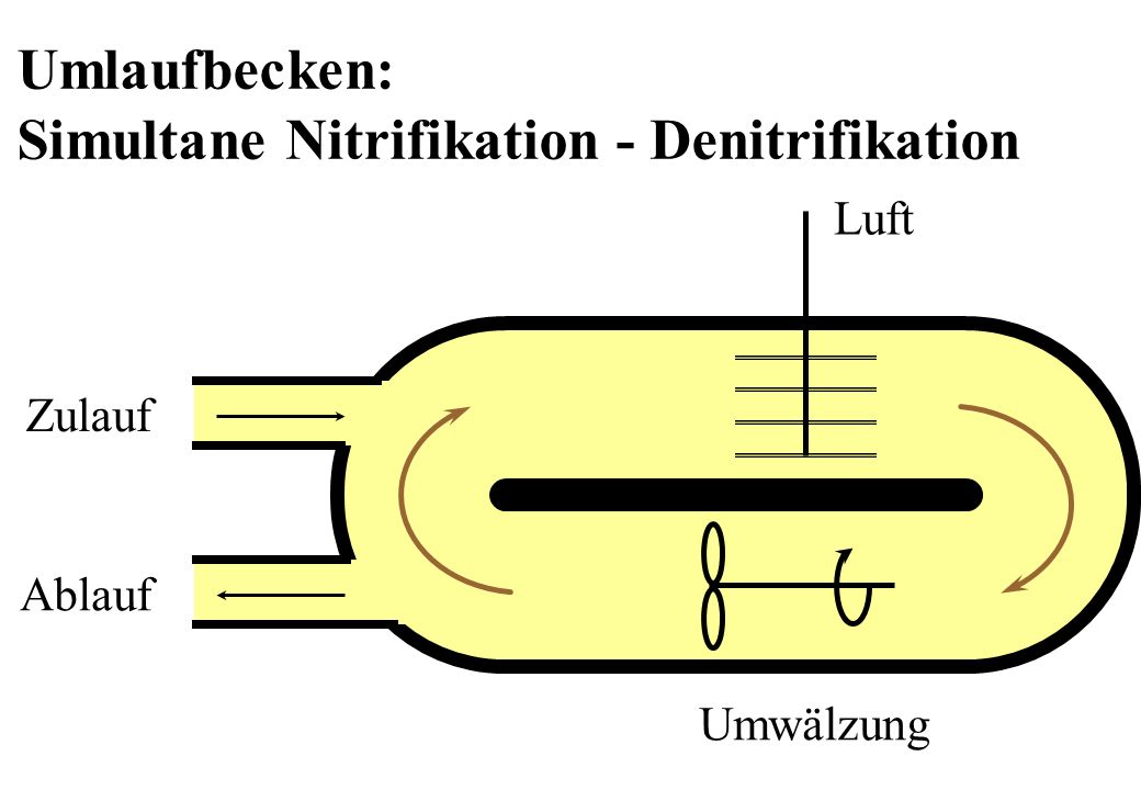 Simultane Nitrifikation - Denitrifikation