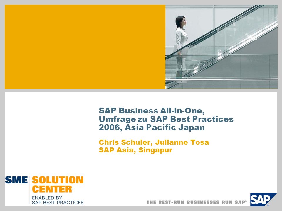 SAP Business All-in-One,