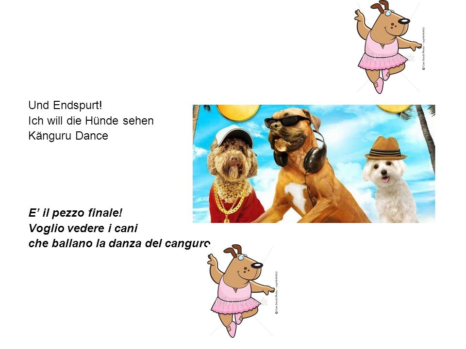 Und Endspurt! Ich will die Hünde sehen. Känguru Dance. E’ il pezzo finale! Voglio vedere i cani.