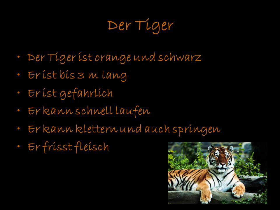 Der Tiger Der Tiger ist orange und schwarz Er ist bis 3 m lang