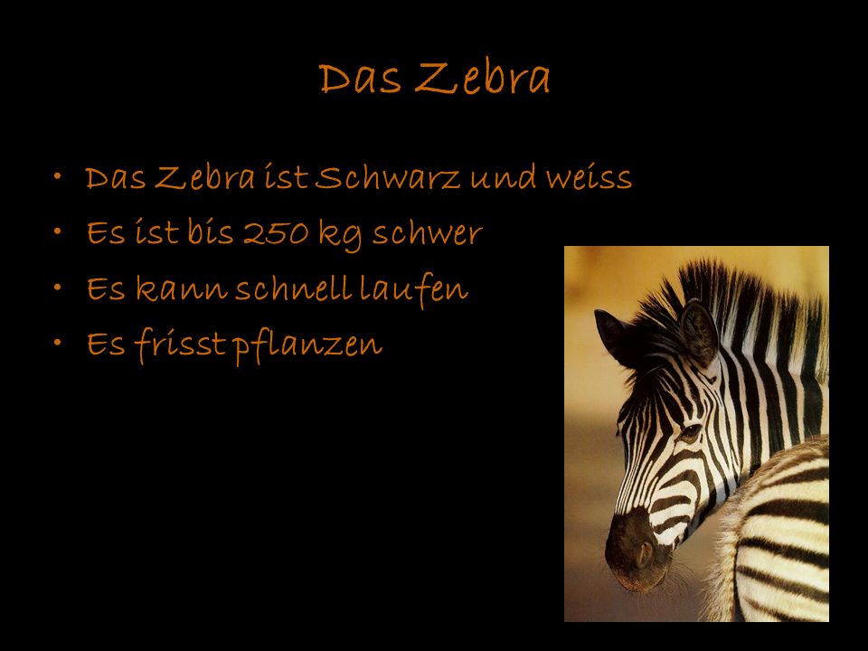 Das Zebra Das Zebra ist Schwarz und weiss Es ist bis 250 kg schwer