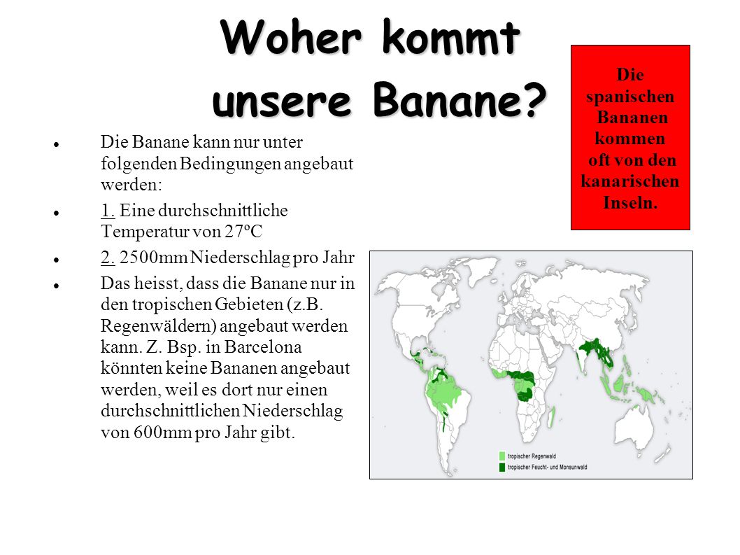 Woher kommt unsere Banane