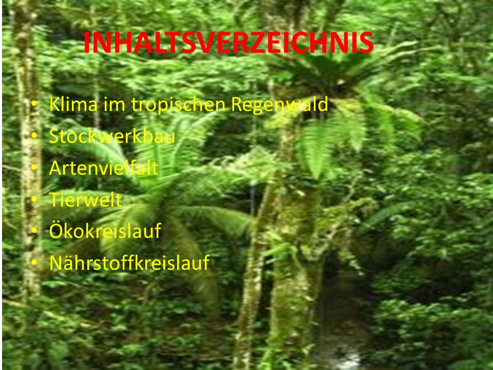 INHALTSVERZEICHNIS Klima im tropischen Regenwald Stockwerkbau