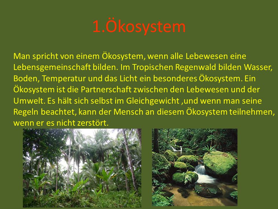 1.Ökosystem