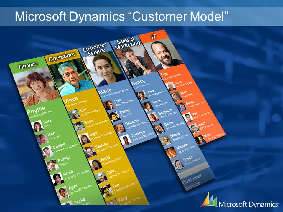 Microsoft Dynamics Customer Model