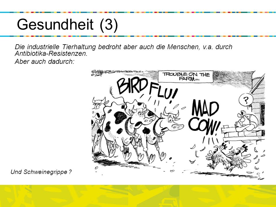 Gesundheit (3) Die industrielle Tierhaltung bedroht aber auch die Menschen, v.a. durch Antibiotika-Resistenzen.