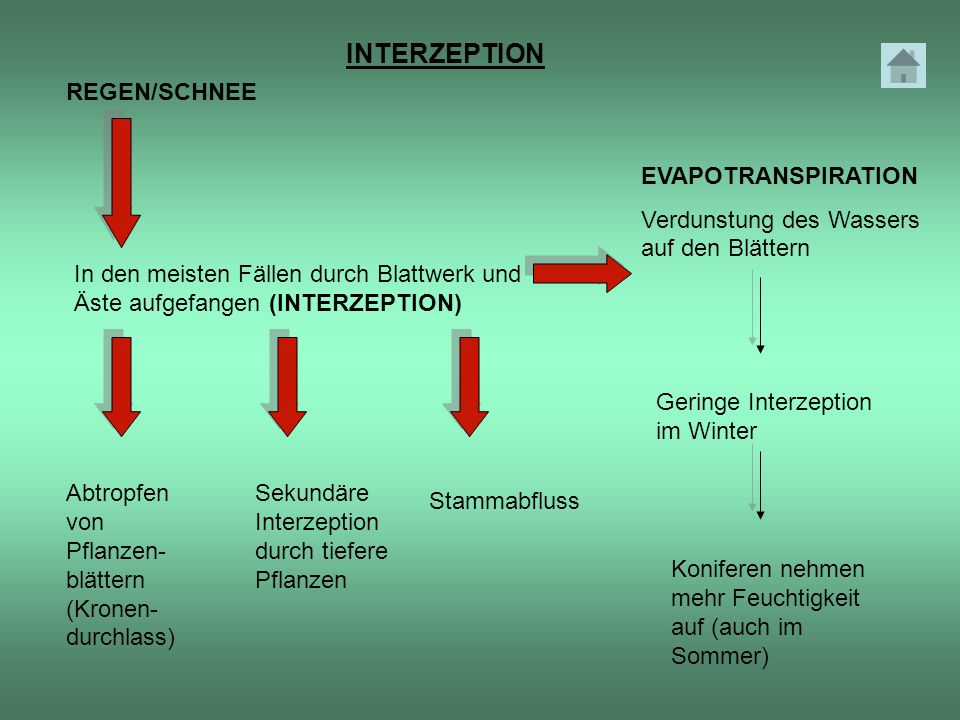 INTERZEPTION REGEN/SCHNEE EVAPOTRANSPIRATION