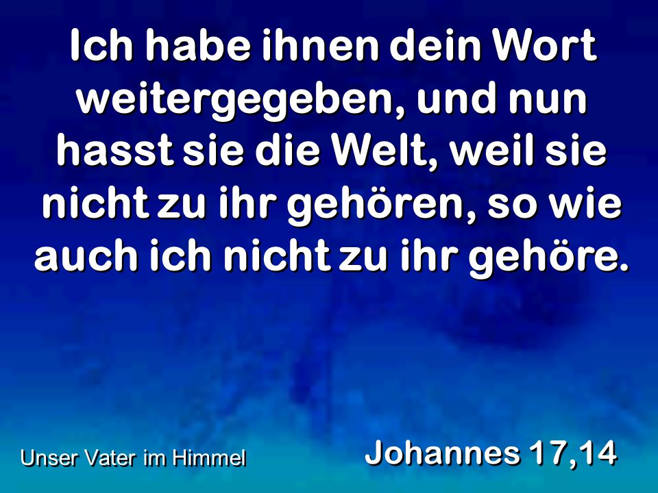 Ich habe ihnen dein Wort weitergegeben, und nun hasst sie die Welt, weil sie nicht zu ihr gehören, so wie auch ich nicht zu ihr gehöre.