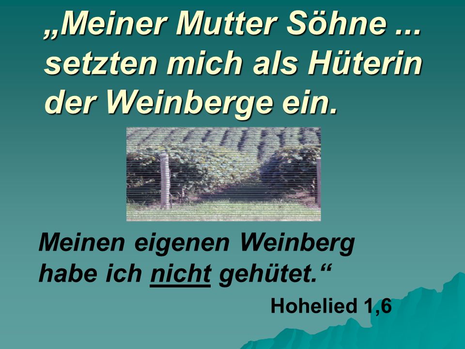 „Meiner Mutter Söhne ... setzten mich als Hüterin der Weinberge ein.