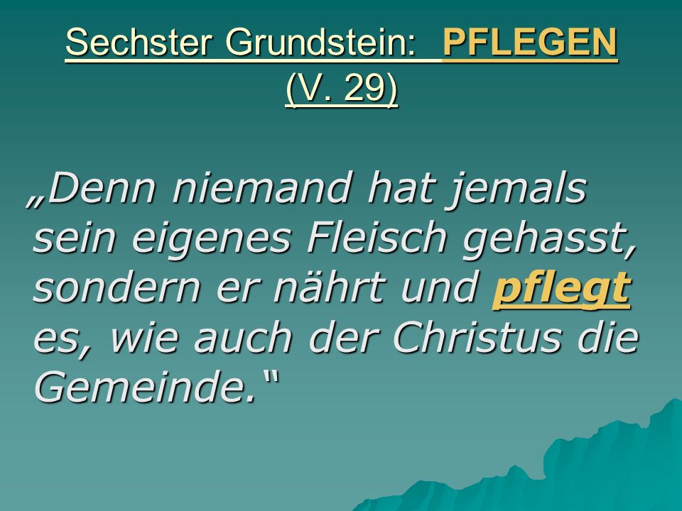 Sechster Grundstein: PFLEGEN (V. 29)