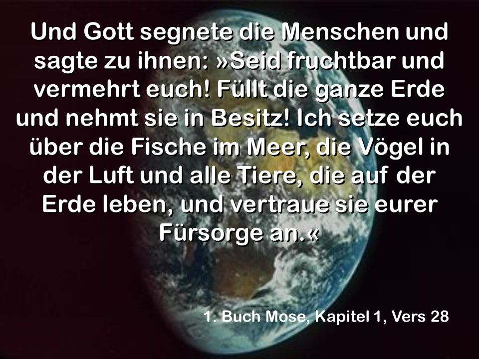 Und Gott segnete die Menschen und sagte zu ihnen: »Seid fruchtbar und vermehrt euch! Füllt die ganze Erde und nehmt sie in Besitz! Ich setze euch über die Fische im Meer, die Vögel in der Luft und alle Tiere, die auf der Erde leben, und vertraue sie eurer Fürsorge an.«