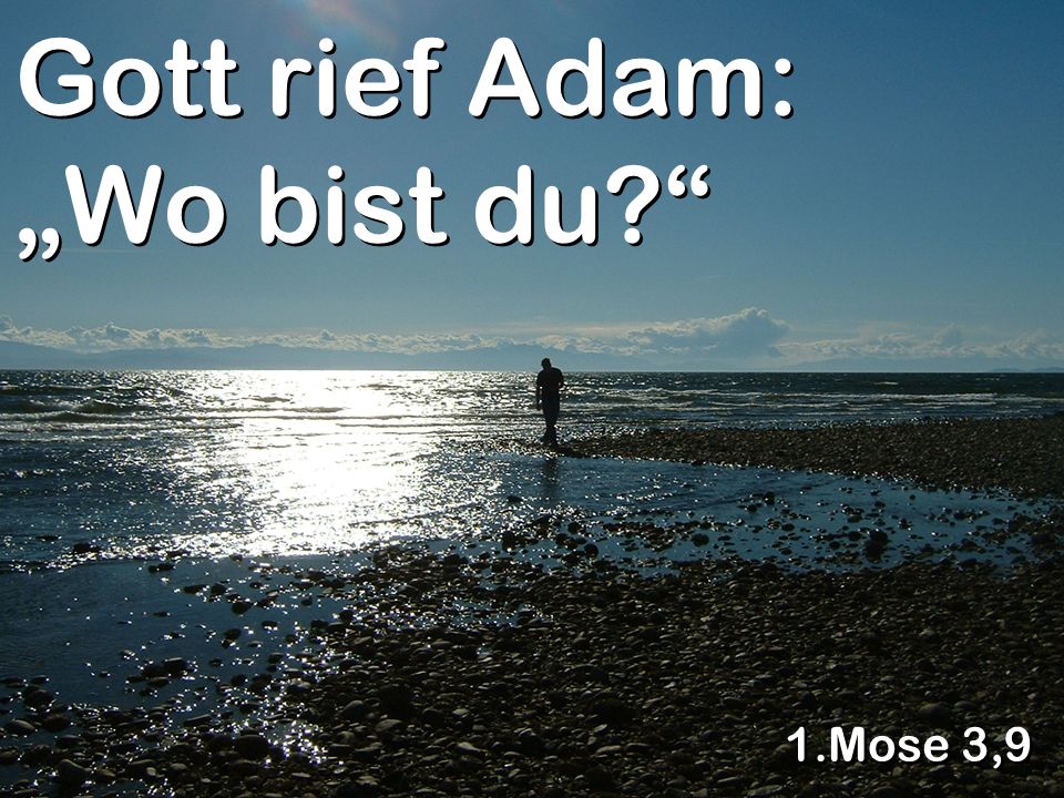 Gott rief Adam: „Wo bist du
