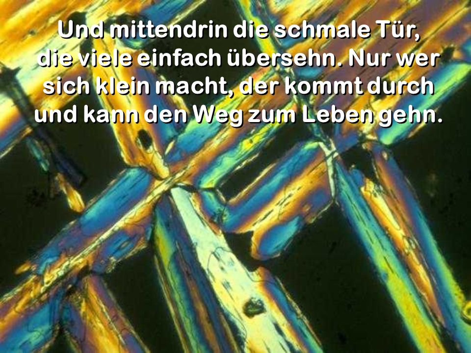 Und mittendrin die schmale Tür, die viele einfach übersehn. Nur wer