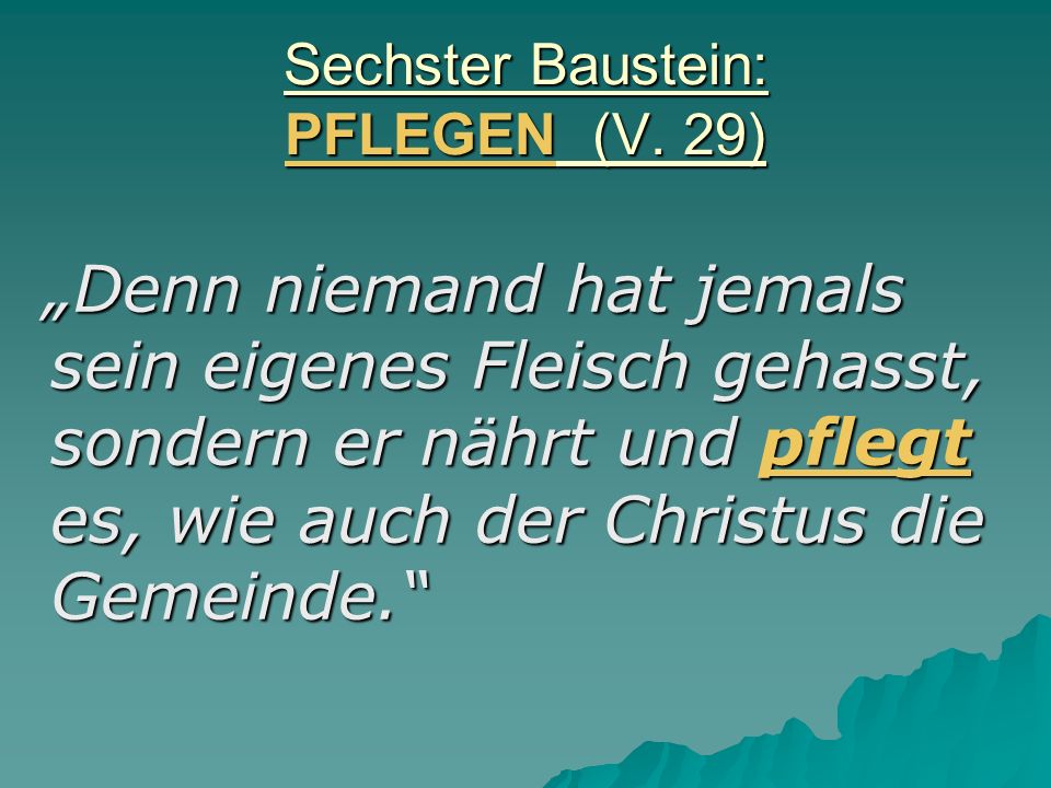 Sechster Baustein: PFLEGEN (V. 29)