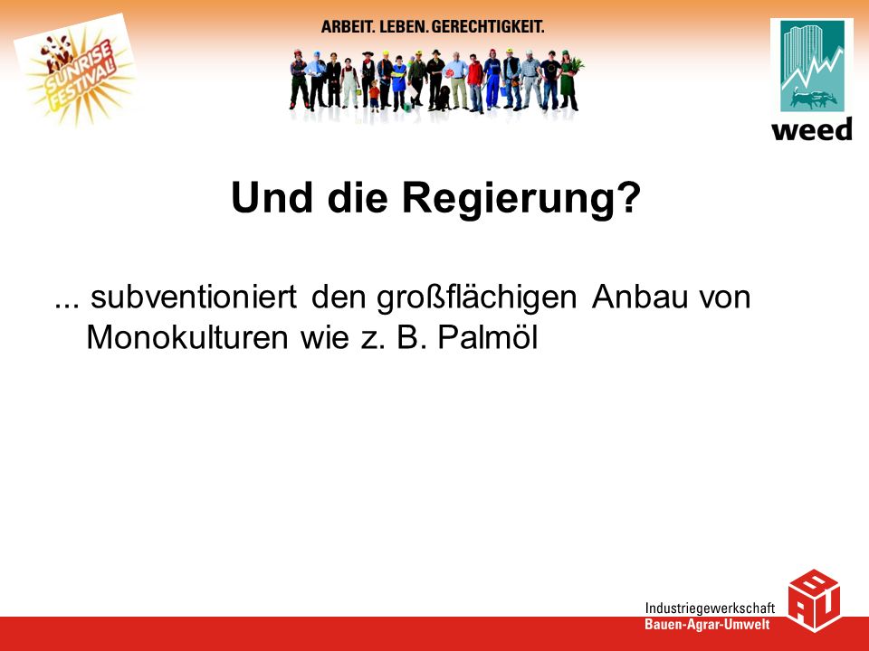Und die Regierung ... subventioniert den großflächigen Anbau von Monokulturen wie z. B. Palmöl
