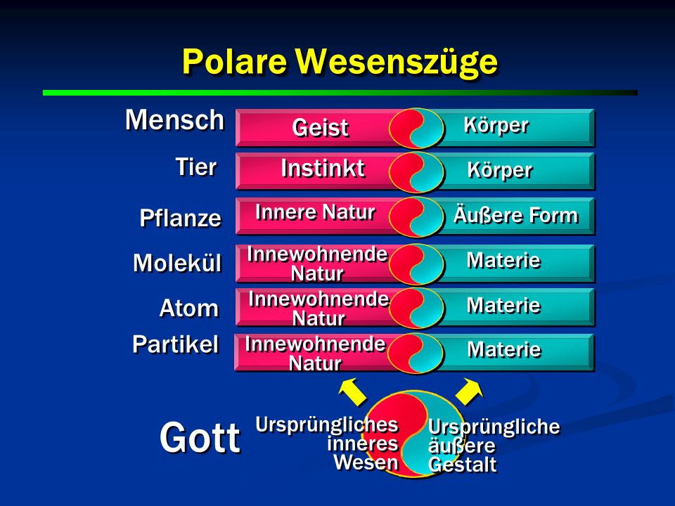 Gott Polare Wesenszüge Mensch Geist Tier Instinkt Pflanze Molekül Atom