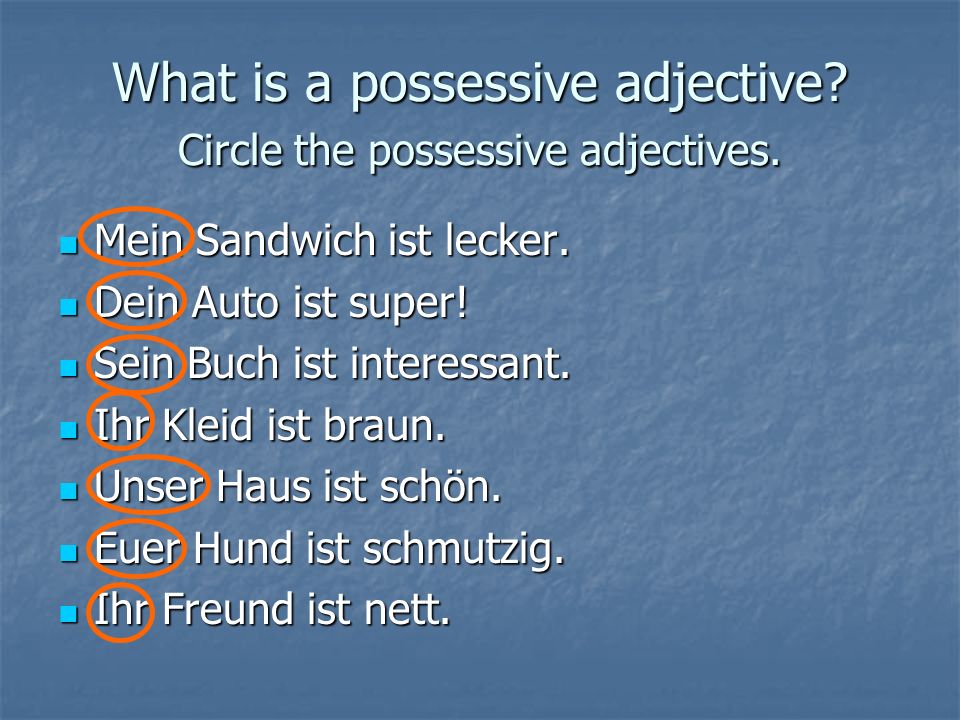 What is a possessive adjective Circle the possessive adjectives.