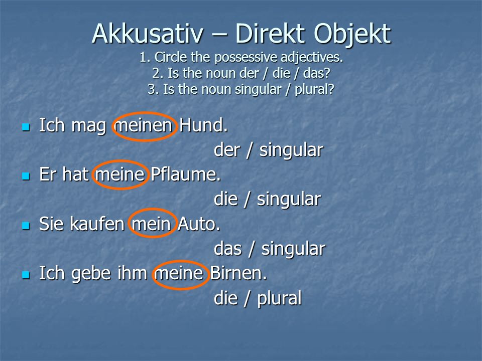 Akkusativ – Direkt Objekt 1. Circle the possessive adjectives. 2