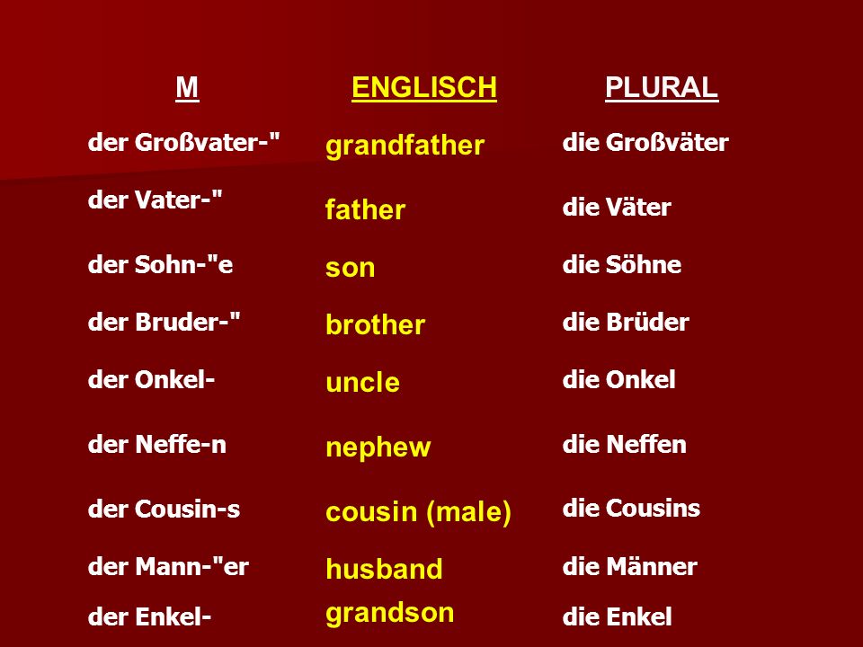 M ENGLISCH PLURAL grandfather father son brother uncle nephew