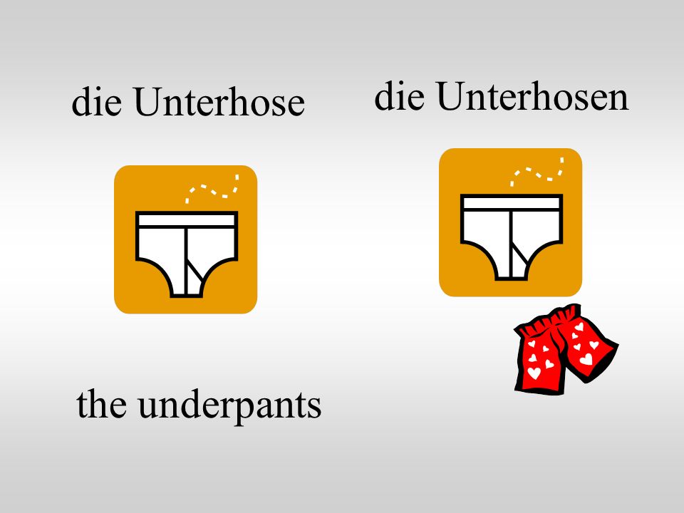 die Unterhosen die Unterhose the underpants