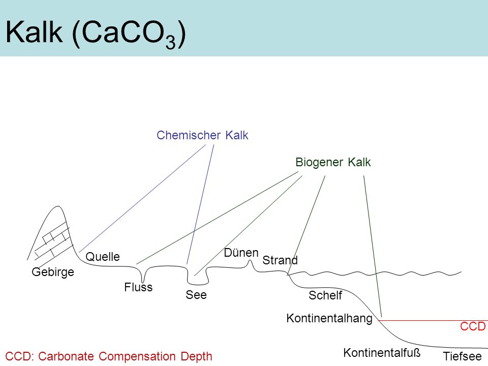 Kalk (CaCO3) Chemischer Kalk Biogener Kalk Dünen Quelle Strand Gebirge