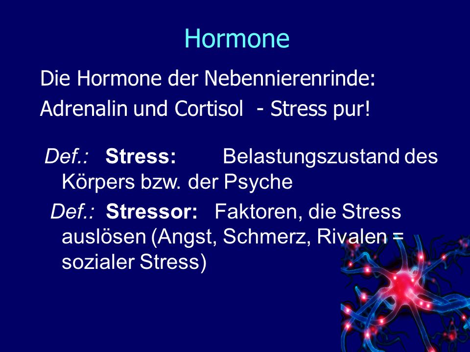 Hormone Die Hormone der Nebennierenrinde:
