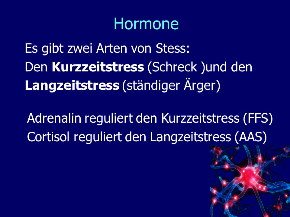 Hormone Es gibt zwei Arten von Stess: