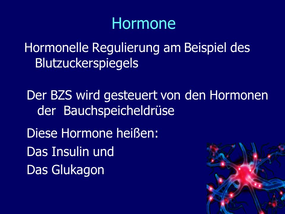 Hormone Hormonelle Regulierung am Beispiel des Blutzuckerspiegels