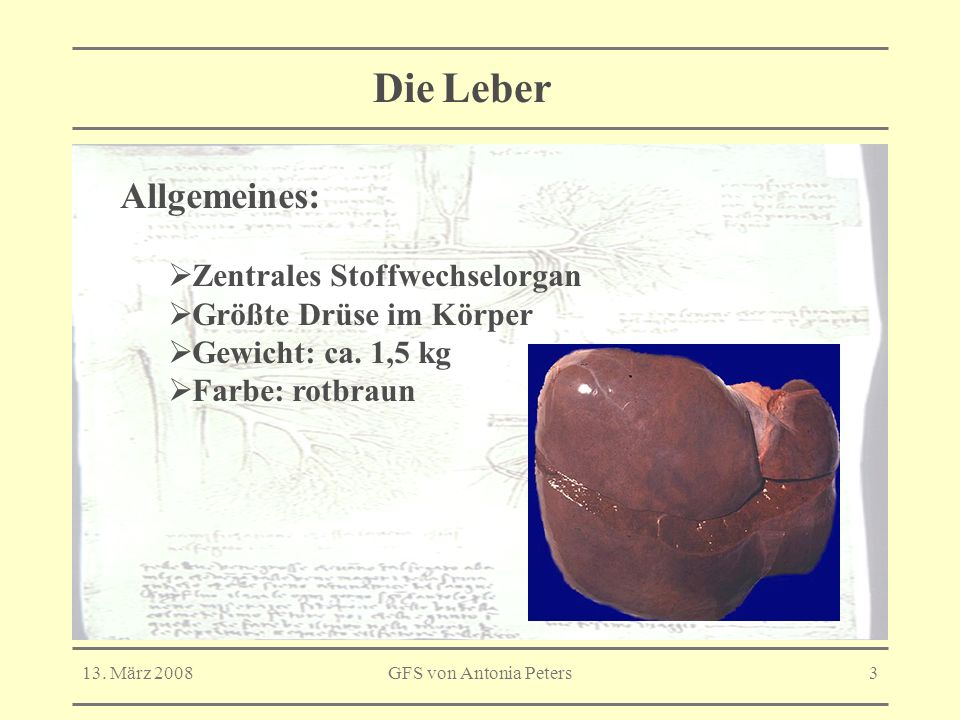 Die Leber (medizinisch: hepar) - ppt video online herunterladen