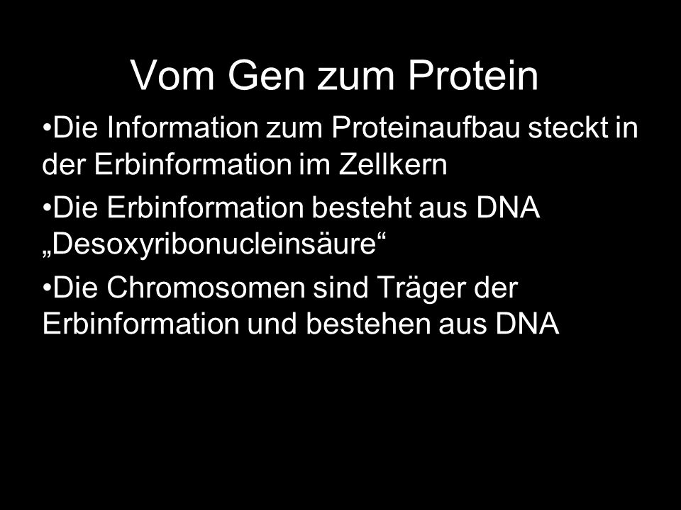 Vom Gen zum Protein Die Information zum Proteinaufbau steckt in der Erbinformation im Zellkern.