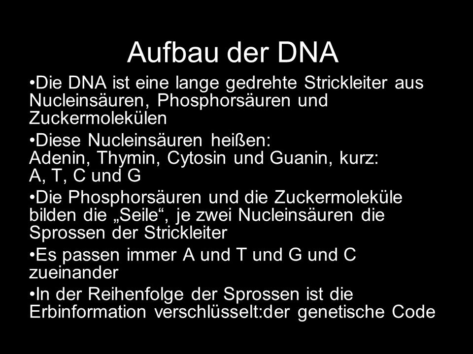 Aufbau der DNA Die DNA ist eine lange gedrehte Strickleiter aus Nucleinsäuren, Phosphorsäuren und Zuckermolekülen.