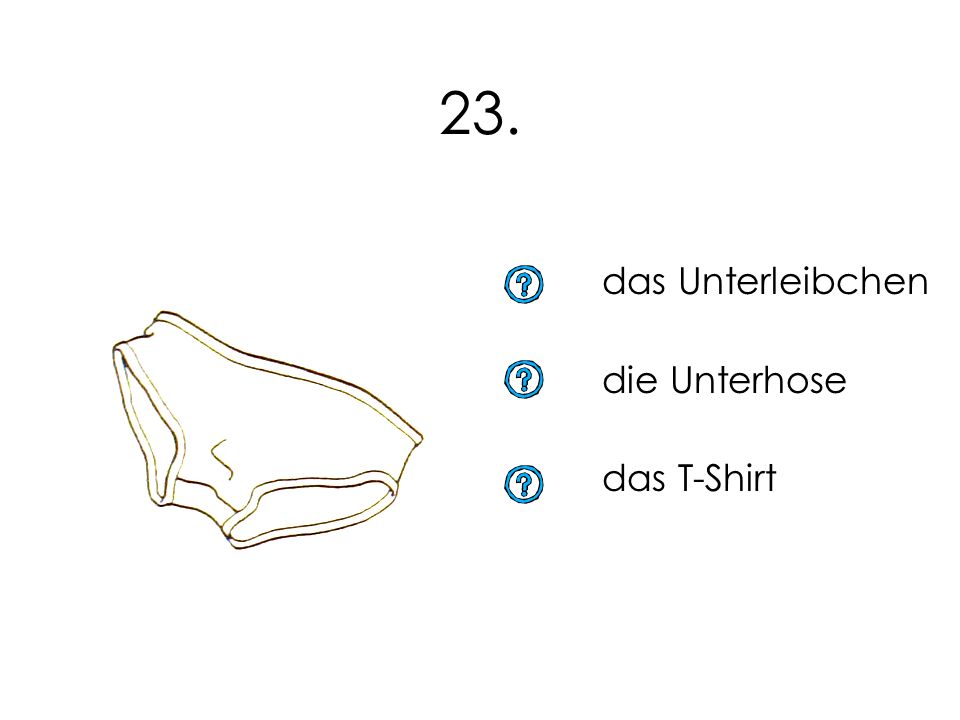 23. das Unterleibchen die Unterhose das T-Shirt 