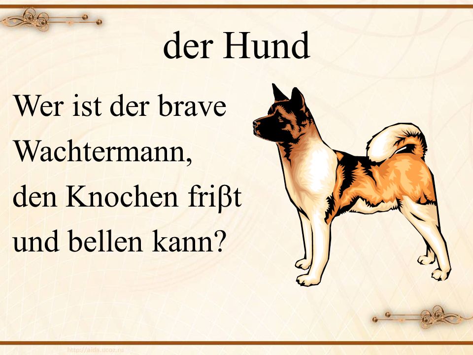 der Hund Wer ist der brave Wachtermann, den Knochen friβt und bellen kann