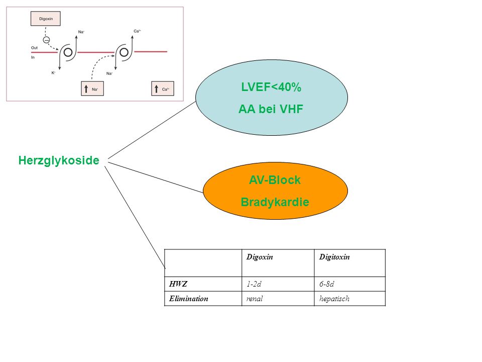LVEF<40% AA bei VHF AV-Block Bradykardie