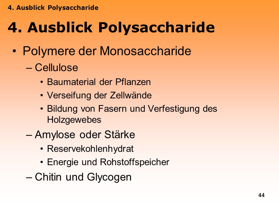 4. Ausblick Polysaccharide